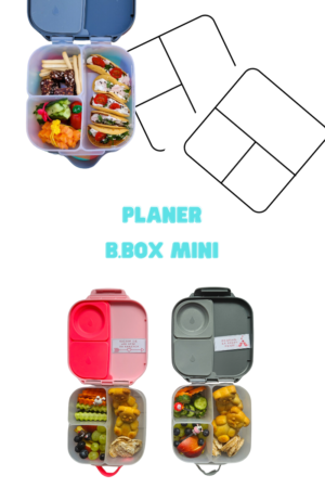 Planer B.box mini