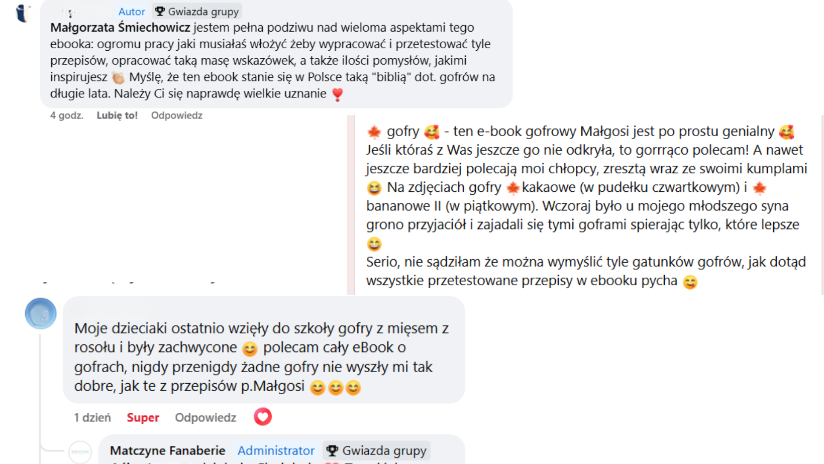 przepisy na gofry ebook